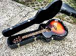 Takamine elektroakusztikus gitár 03