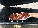 Takamine elektroakusztikus gitár 02