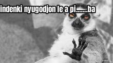 Nyugodjál le a picsába! Nyugodjál le a picsába!