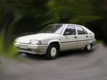 Citroen BX 1.9D