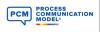 Process Communication Model